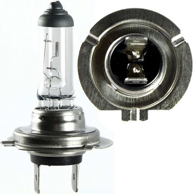 12V 55W H7 Halogen Headlight Bulb